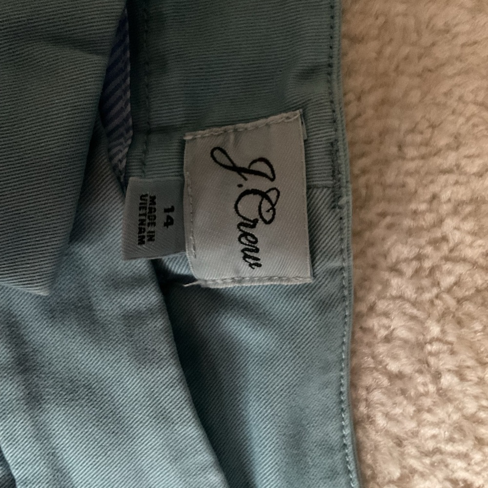 J Crew Ocean Blue Cotton Shorts - Picture 3 of 4